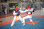 Foto 074
