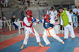 Foto 075