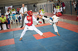 Foto 094
