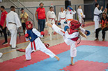 Foto 122