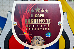 Imagem da COPA BUSHI NO TE